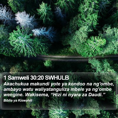 1 Samweli 30:20 SWHULB Bible Verse Image