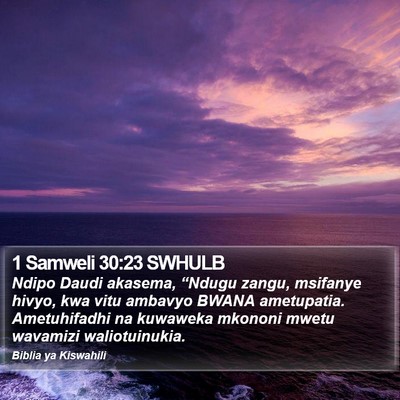 1 Samweli 30:23 SWHULB Bible Verse Image