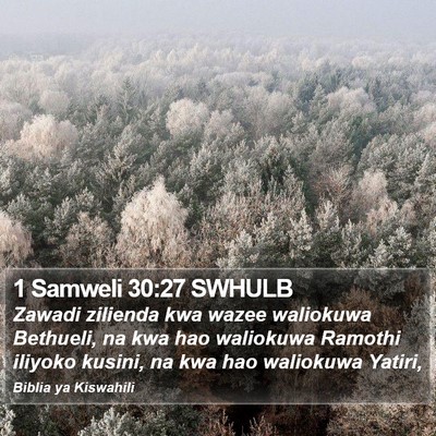 1 Samweli 30:27 SWHULB Bible Verse Image