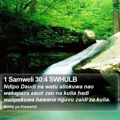 1 Samweli 30:4 SWHULB Bible Verse Image