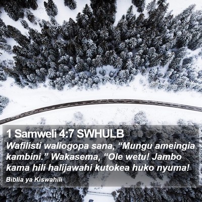 1 Samweli 4:7 SWHULB Bible Verse Image