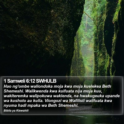 1 Samweli 6:12 SWHULB Bible Verse Image