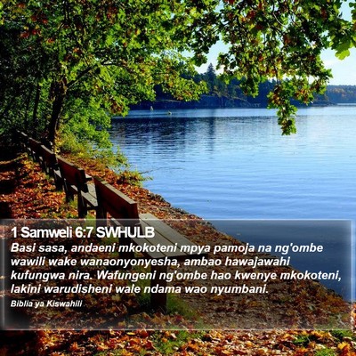 1 Samweli 6:7 SWHULB Bible Verse Image