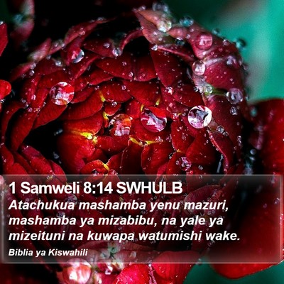 1 Samweli 8:14 SWHULB Bible Verse Image
