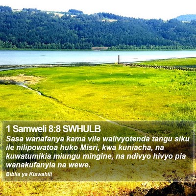 1 Samweli 8:8 SWHULB Bible Verse Image