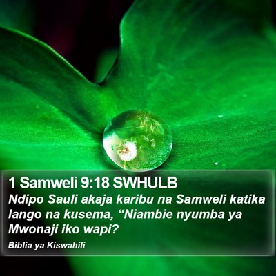 1 Samweli 9:18 SWHULB Bible Verse Image