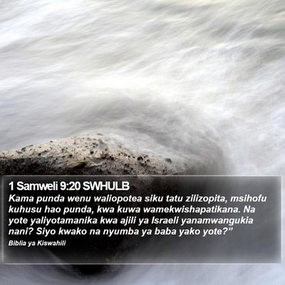 1 Samweli 9:20 SWHULB Bible Verse Image