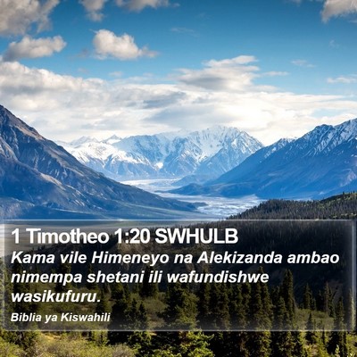 1 Timotheo 1:20 SWHULB Bible Verse Image