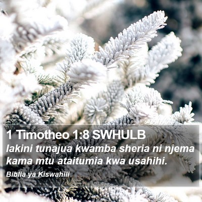 1 Timotheo 1:8 SWHULB Bible Verse Image
