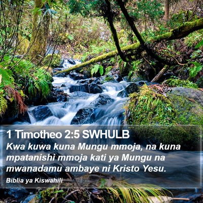 1 Timotheo 2:5 SWHULB Bible Verse Image