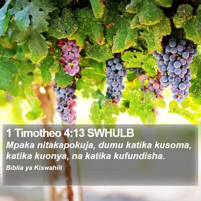 1 Timotheo 4:13 SWHULB Bible Verse Image