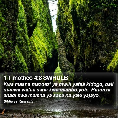1 Timotheo 4:8 SWHULB Bible Verse Image
