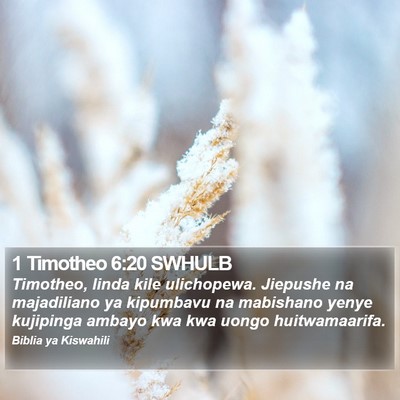1 Timotheo 6:20 SWHULB Bible Verse Image