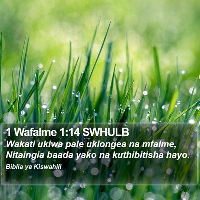 1 Wafalme 1:14 SWHULB Bible Verse Image