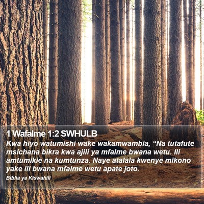 1 Wafalme 1:2 SWHULB Bible Verse Image