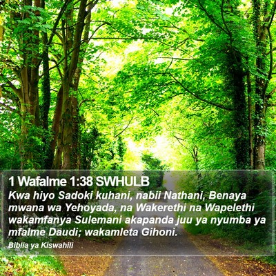 1 Wafalme 1:38 SWHULB Bible Verse Image