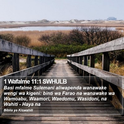 1 Wafalme 11:1 SWHULB Bible Verse Image