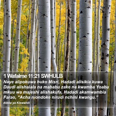 1 Wafalme 11:21 SWHULB Bible Verse Image