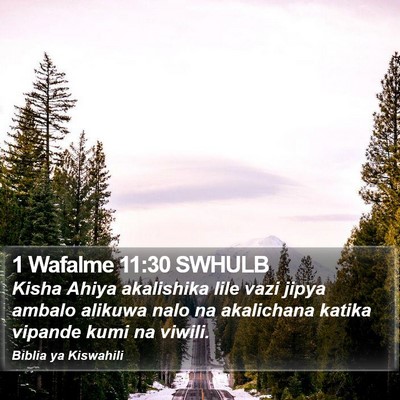 1 Wafalme 11:30 SWHULB Bible Verse Image