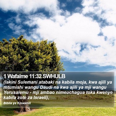 1 Wafalme 11:32 SWHULB Bible Verse Image