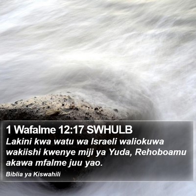 1 Wafalme 12:17 SWHULB Bible Verse Image