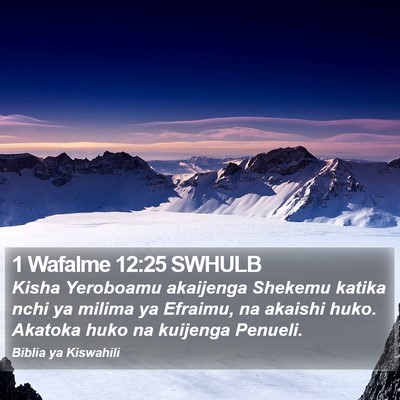 1 Wafalme 12:25 SWHULB Bible Verse Image