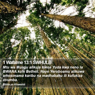 1 Wafalme 13:1 SWHULB Bible Verse Image