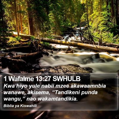 1 Wafalme 13:27 SWHULB Bible Verse Image
