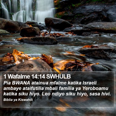 1 Wafalme 14:14 SWHULB Bible Verse Image