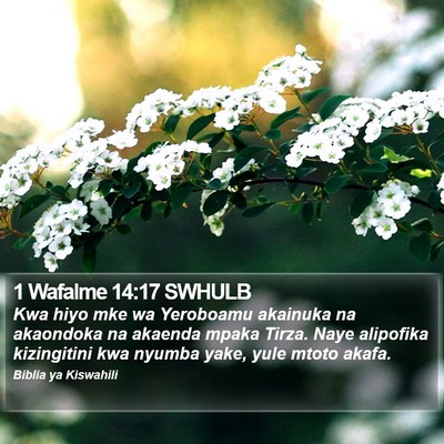 1 Wafalme 14:17 SWHULB Bible Verse Image