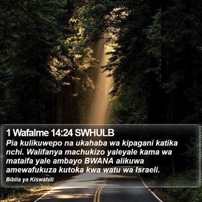 1 Wafalme 14:24 SWHULB Bible Verse Image