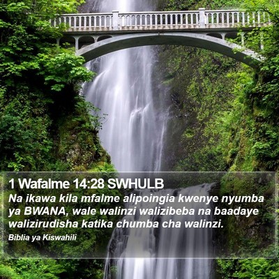 1 Wafalme 14:28 SWHULB Bible Verse Image