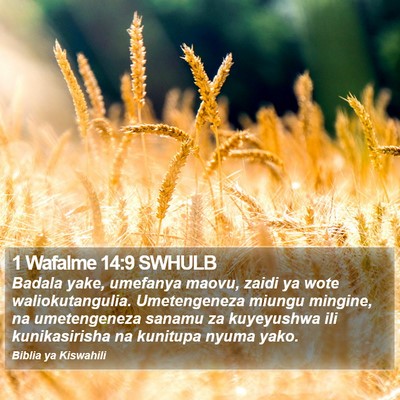 1 Wafalme 14:9 SWHULB Bible Verse Image