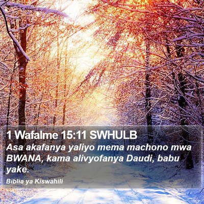 1 Wafalme 15:11 SWHULB Bible Verse Image