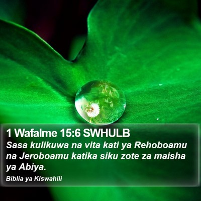 1 Wafalme 15:6 SWHULB Bible Verse Image