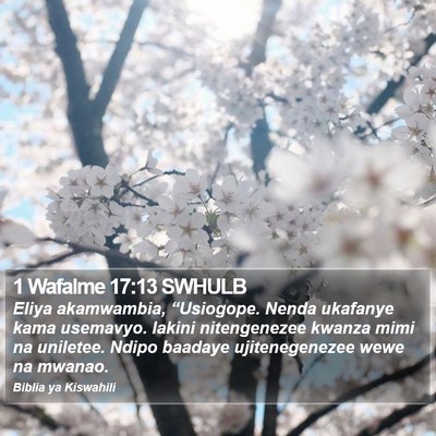 1 Wafalme 17:13 SWHULB Bible Verse Image