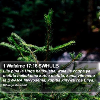 1 Wafalme 17:16 SWHULB Bible Verse Image