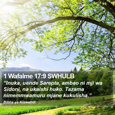 1 Wafalme 17:9 SWHULB Bible Verse Image