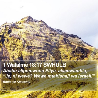 1 Wafalme 18:17 SWHULB Bible Verse Image