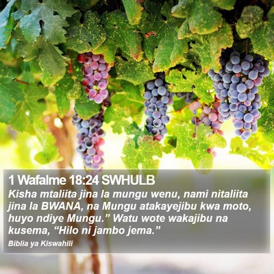1 Wafalme 18:24 SWHULB Bible Verse Image