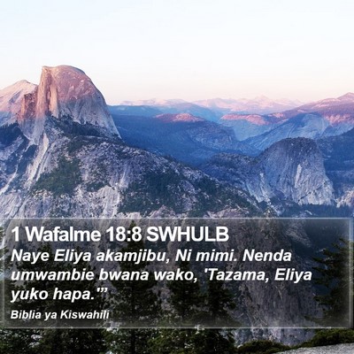 1 Wafalme 18:8 SWHULB Bible Verse Image