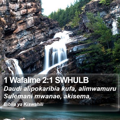 1 Wafalme 2:1 SWHULB Bible Verse Image