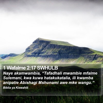 1 Wafalme 2:17 SWHULB Bible Verse Image