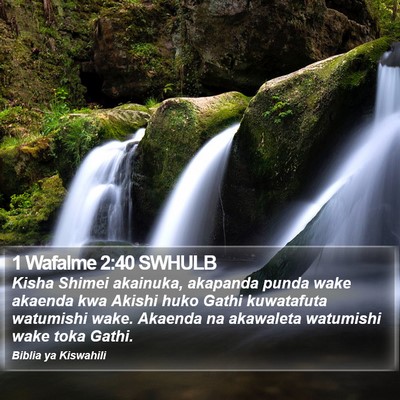 1 Wafalme 2:40 SWHULB Bible Verse Image