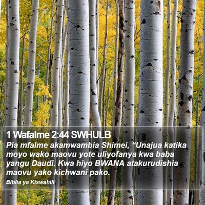 1 Wafalme 2:44 SWHULB Bible Verse Image