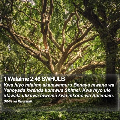 1 Wafalme 2:46 SWHULB Bible Verse Image