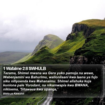 1 Wafalme 2:8 SWHULB Bible Verse Image