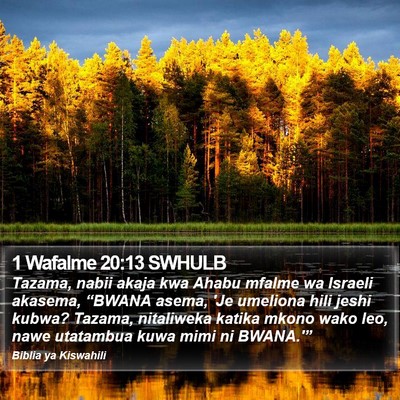 1 Wafalme 20:13 SWHULB Bible Verse Image