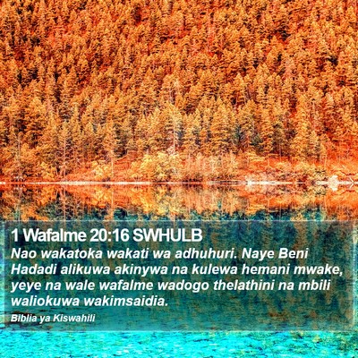 1 Wafalme 20:16 SWHULB Bible Verse Image