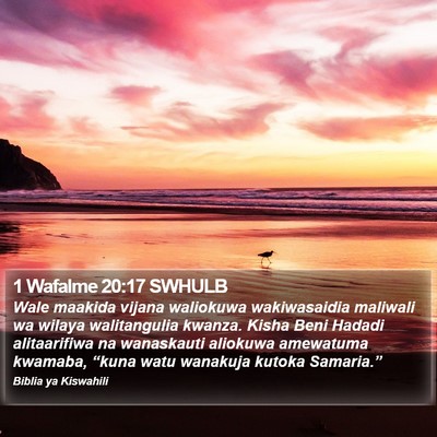 1 Wafalme 20:17 SWHULB Bible Verse Image